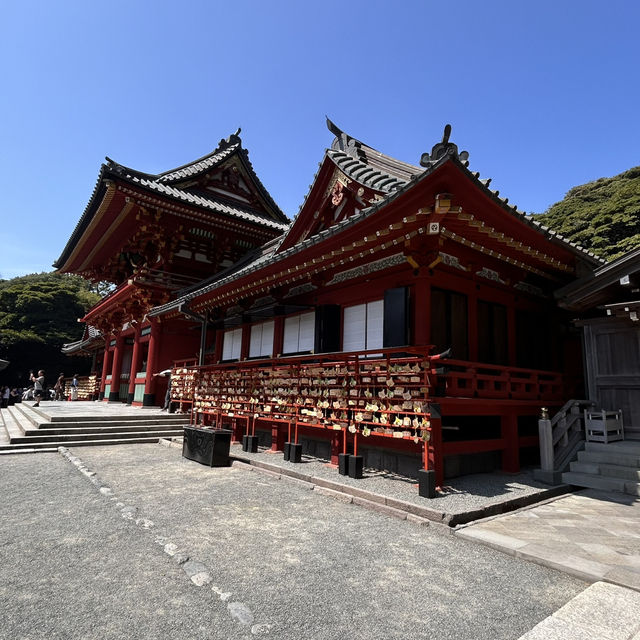 The Soul of Kamakura: A Solo Visit to Tsurugaoka Hachimangu Shrine ⛩️