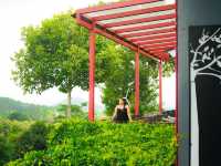 ชวนมากินเช้า–เย็น ที่ เวลาเวียนรีสอร์ท วังน้ำเขียว