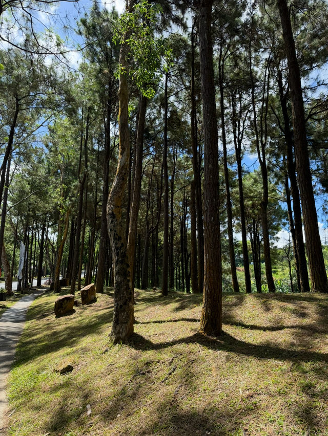 Tagaytay always has that fresh, breezy vibe 🌿⛰️