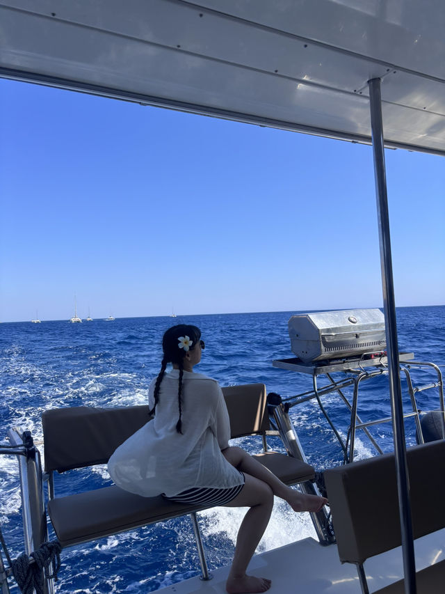 🏖️ 미코노스 섬 & 스노클링 투어 🌊 🏖️ 미코노스 섬 & 스노클링 투어 🌊