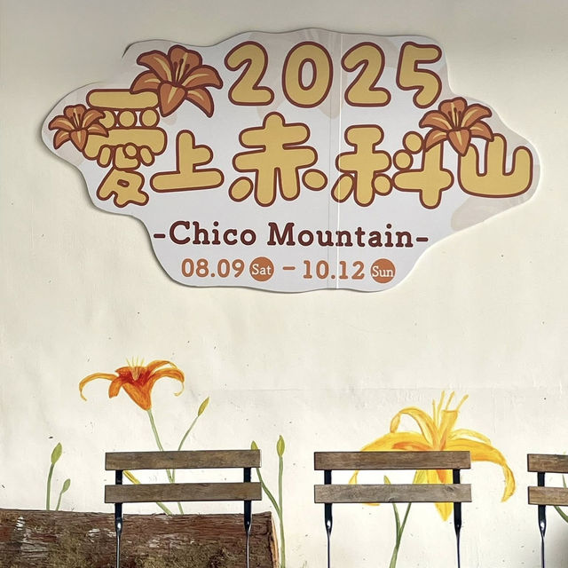 走訪赤科山耀眼的黃金地毯