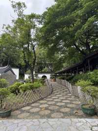 Tranquility Amid the Bustle: Walled City Park