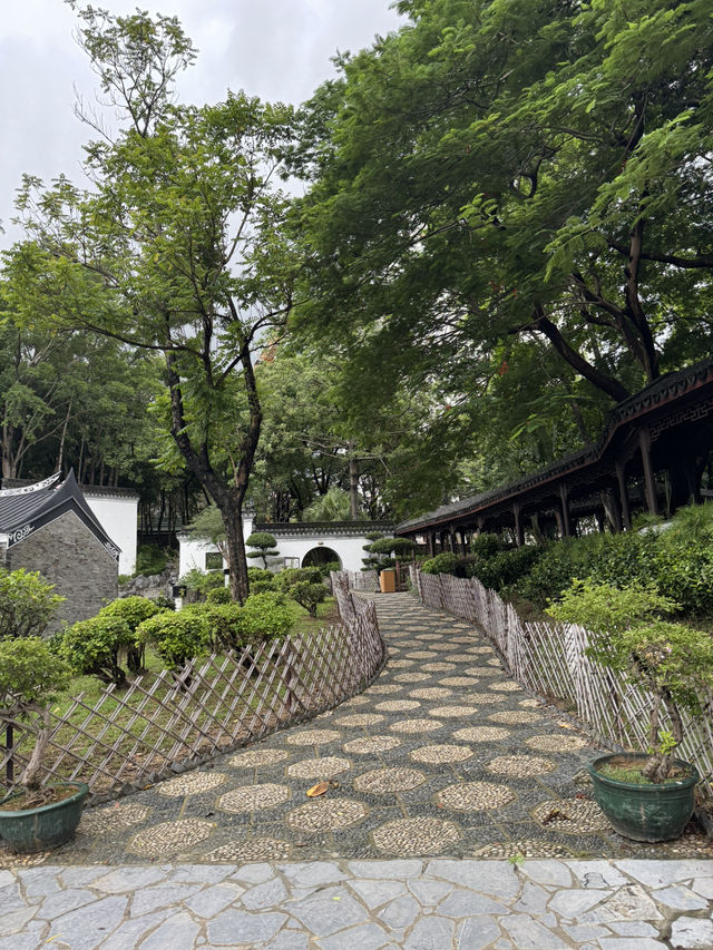 Tranquility Amid the Bustle: Walled City Park