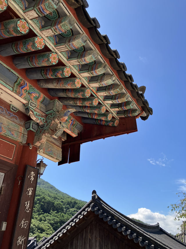 돌빛과 바람 사이를 걷는 시간, 구례 화엄사