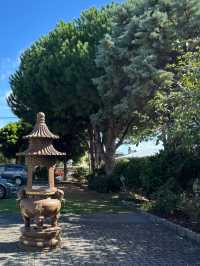 Tsi Ming Temple – A Serene Chinese Buddhist Retreat in New Zealand