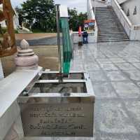 กราบพระพุทธบาทเมืองโยนก : วัดพระธาตุดอยสะเก็ด