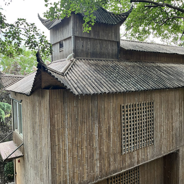 🌿 Zijing Mountain Park — Zhengzhou’s Peaceful Parkland with a Feathered Twist