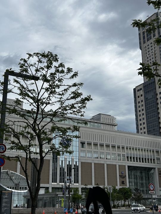 눈이 오지 않아도 충분한 그곳