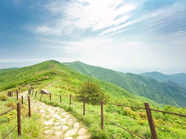 소백산 – 철쭉의 천국