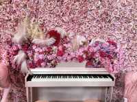 🩷Pink Cafe🩷