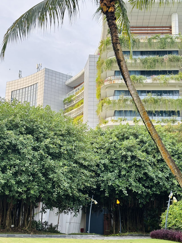 Cyberpunk Oasis by the Sea: Exploring Johor’s Forest City 🌆