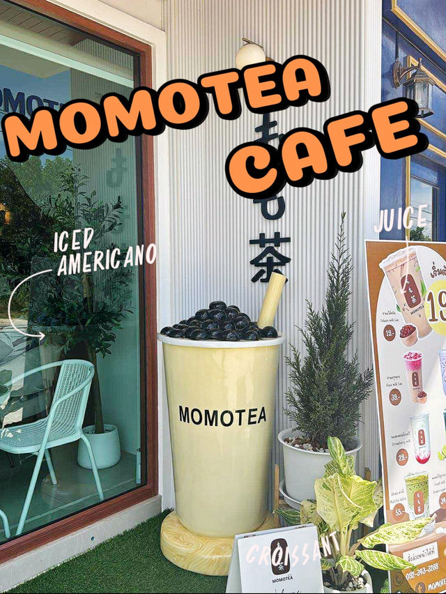 Momotea สาขาตือเบาะ