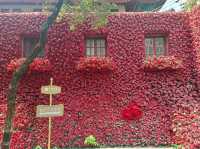 ✨上海多倫路文化名人街散步遊覽💯欣賞歷史建築特色景點😍I