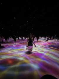 เที่ยวผจญภัยใน TeamLab @โตเกียว