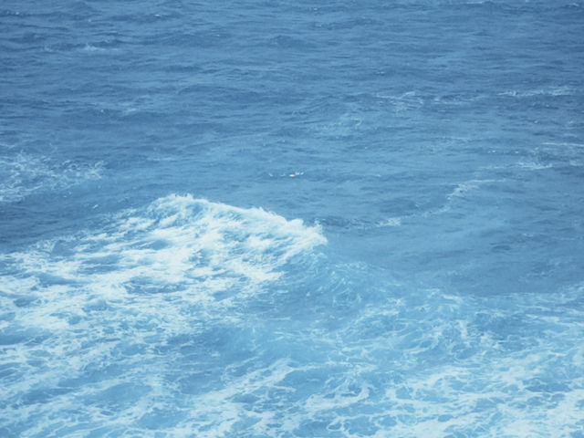 海風吹拂的治癒時刻   海風吹拂的治癒時刻
