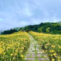 卡通玩偶貓貓蟲咖波及金針花仙子朵拉在六十石山等你同框