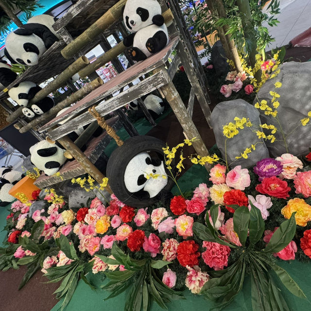 Panda Up Close🐼 & Celebratory Mid-Autumn Lantern Festival  Panda Up Close🐼 & Celebratory Mid-Autumn Lantern Festival