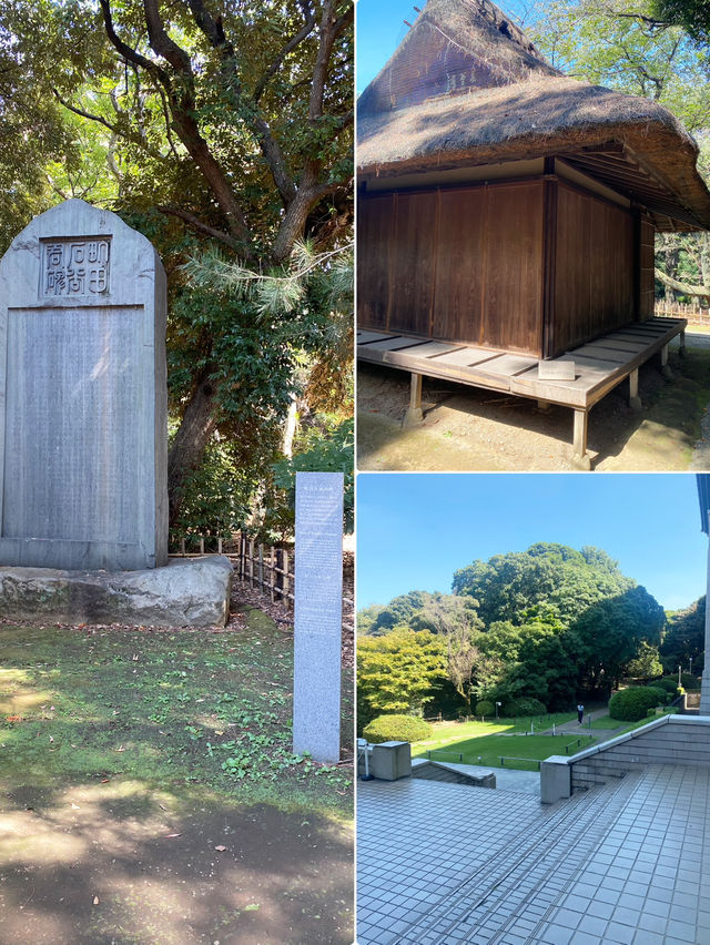 【東京都上野🇯🇵東京国立博物館　庭園】歴史に触れながらのんびり散歩☺️