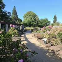 Dunedin Botanic Garden