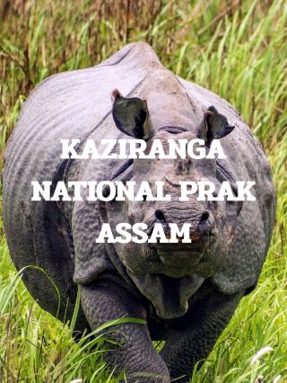 KAZIRANGA NATIONAL PARK