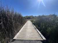 Ayrlies Garden and Wetlands