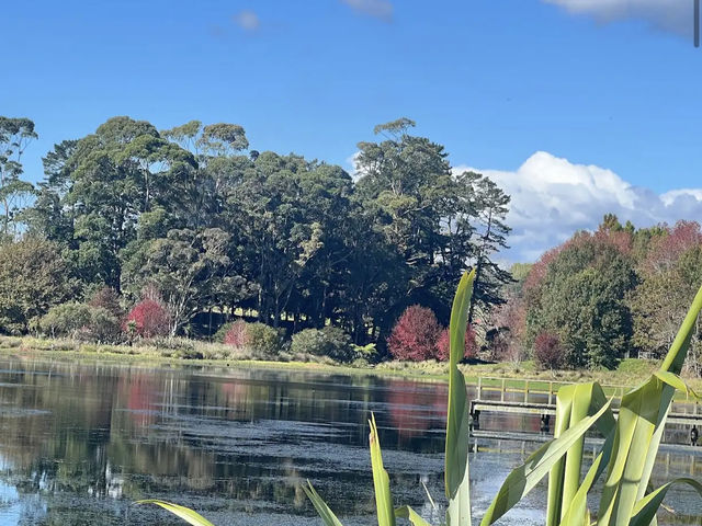 Ayrlies Garden and Wetlands