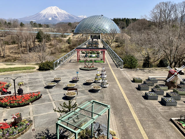 鳥取花廻廊