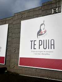 【新西蘭北島】蒂普亞毛利文化村（Te Puia）：深入毛利人文化之旅