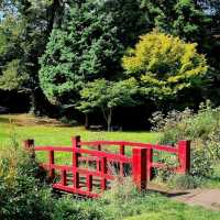 Upper Gardens