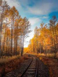 Greater Khingan Range – Daxing’anling & Arxan