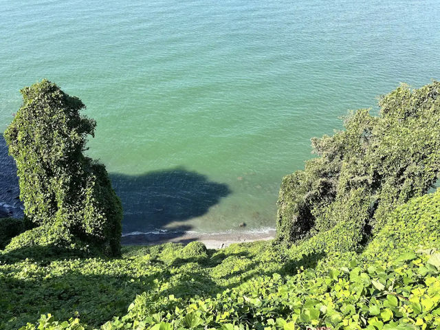 Batumi Botanical Garden