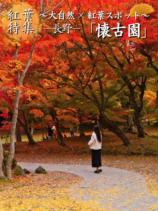 【旅行前に見て】観光攻略付‼️石垣と紅葉が織りなす絶景を楽しむ旅へ🚶‍♂️ 🏯🍁✨