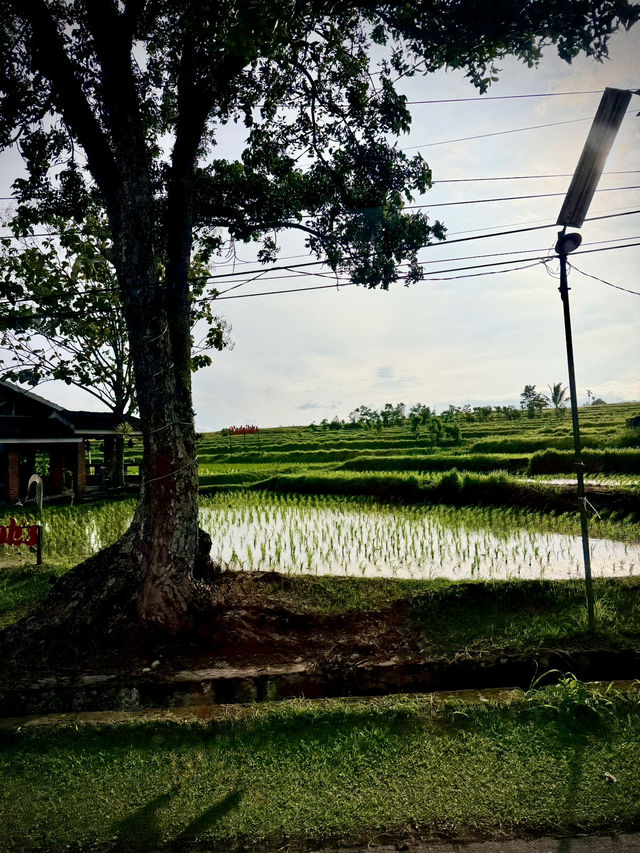 Padang 4 Days Itinerary