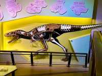Hands-On Fun at the Hong Kong Science Museum