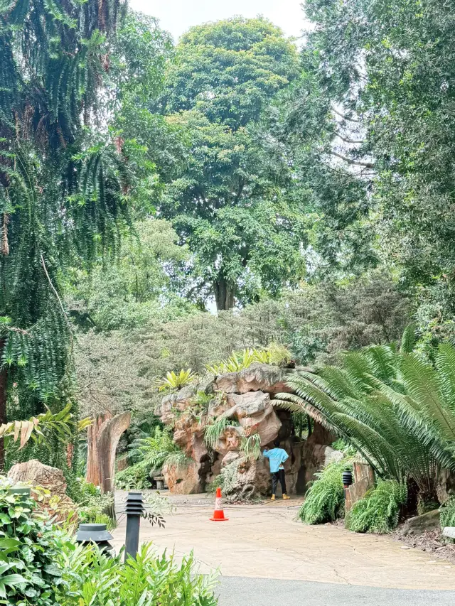新加坡旅行路線必去的地方：植物園