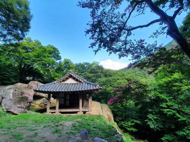 순천여행 히든 명소! 인생샷 촬영지 순천 초연정 원림