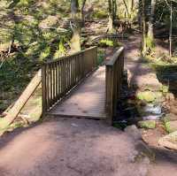 Cascade du Nideck – A Fairy-Tale Waterfall in the Vosges Mountains