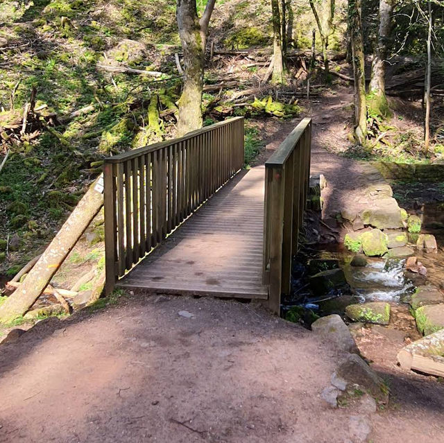 Cascade du Nideck – A Fairy-Tale Waterfall in the Vosges Mountains