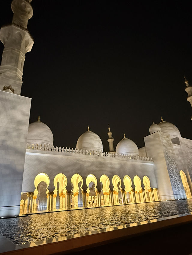 Arabian Royal Wonders👑