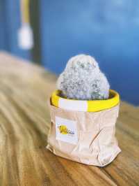 ร้าน Yellow no.413-1🍵