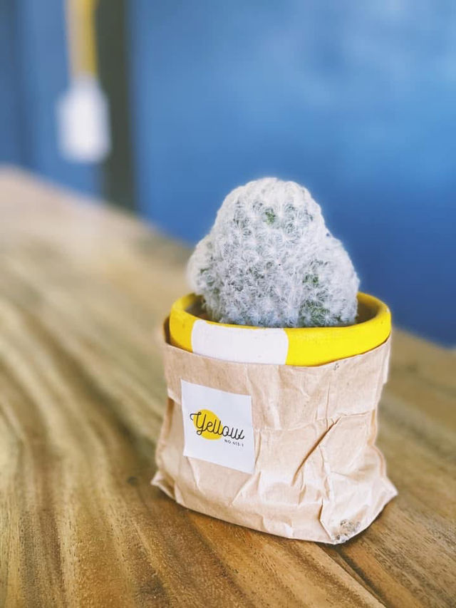 ร้าน Yellow no.413-1🍵 ร้าน Yellow no.413-1🍵