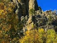 🏞️ Custer State Park – The Wild Heart of South Dakota