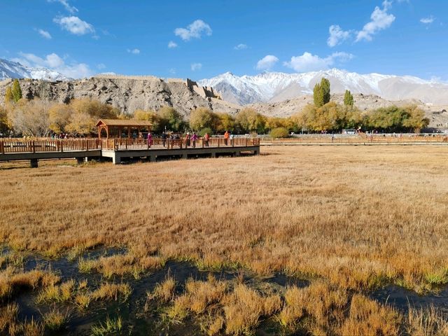 Autumn Wetlands and Snow-Capped Peaks Reflecting Each Other in Taxkorgan