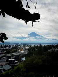 Sengen Park Escape🌳 Panorama view of Mt.Fuji