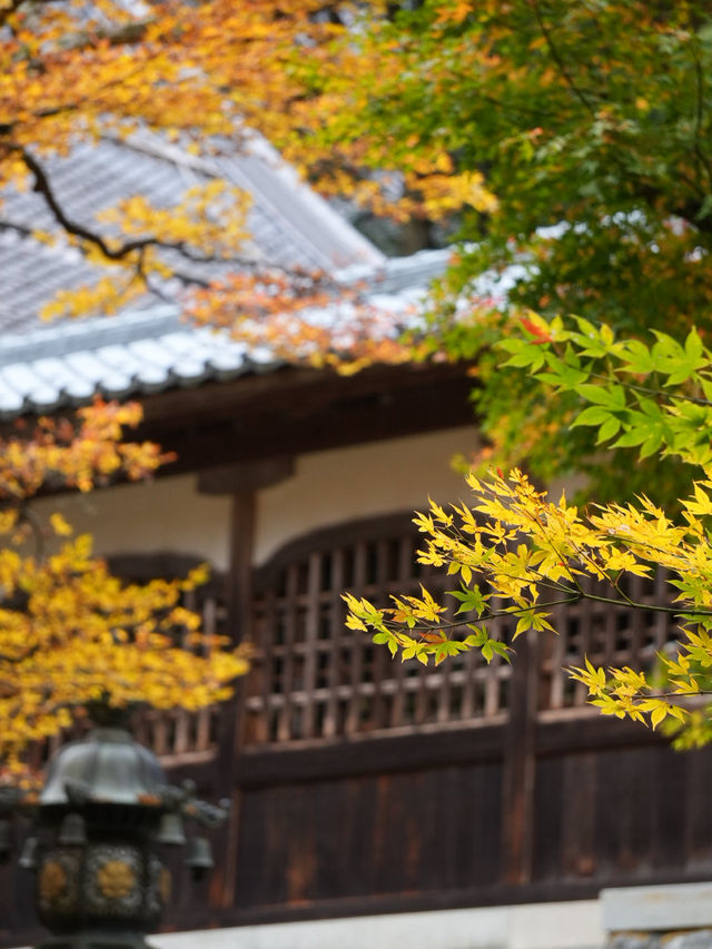 7つの建物を結ぶ回廊 階段だけじゃなく、格子から見える世界が素晴らしい