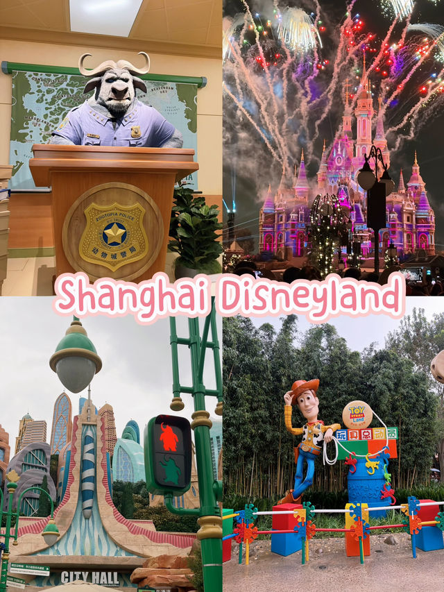 รีวิวเครื่องเล่น เซี่ยงไฮ้ ดิสนีย์แลนด์ 🎡