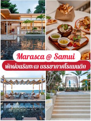 🌅 Marasca @ Samui，蘇梅島海濱