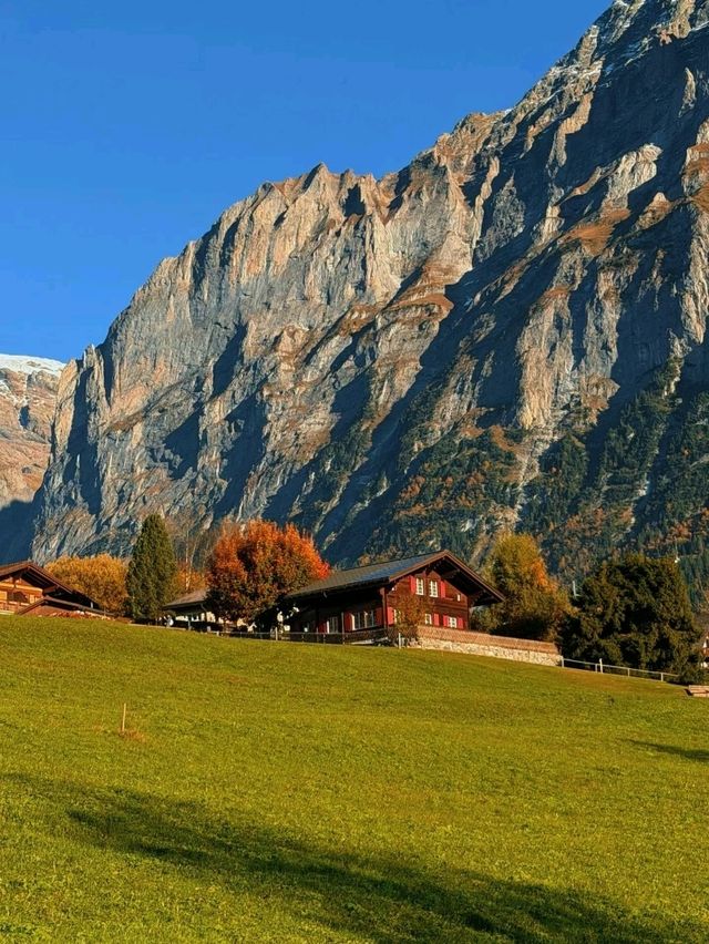 Swiss Peaks Dream🍂