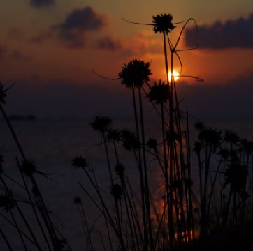 몰디브 모드: 고요하고 햇빛 가득한