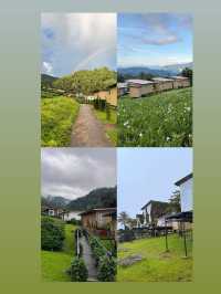 ที่พักโฮมสเตย์ เชียงใหม่ชื่อ   เจอเขา โฮมสเตย์